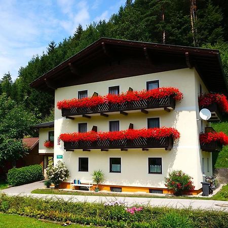 Haus Peter Bed and Breakfast Latschach ober dem Faakersee Εξωτερικό φωτογραφία